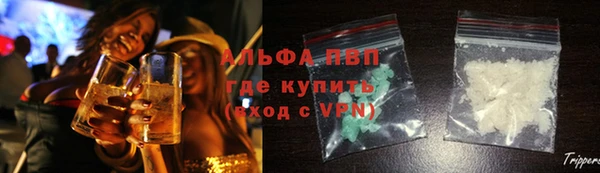 метадон Богданович