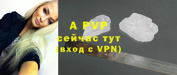 метадон Богданович