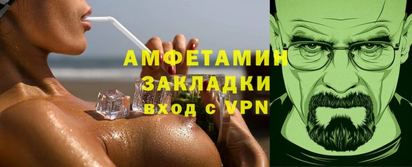 метадон Богданович