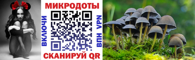 закладка  Сланцы  даркнет наркотические препараты  Галлюциногенные грибы мухоморы 